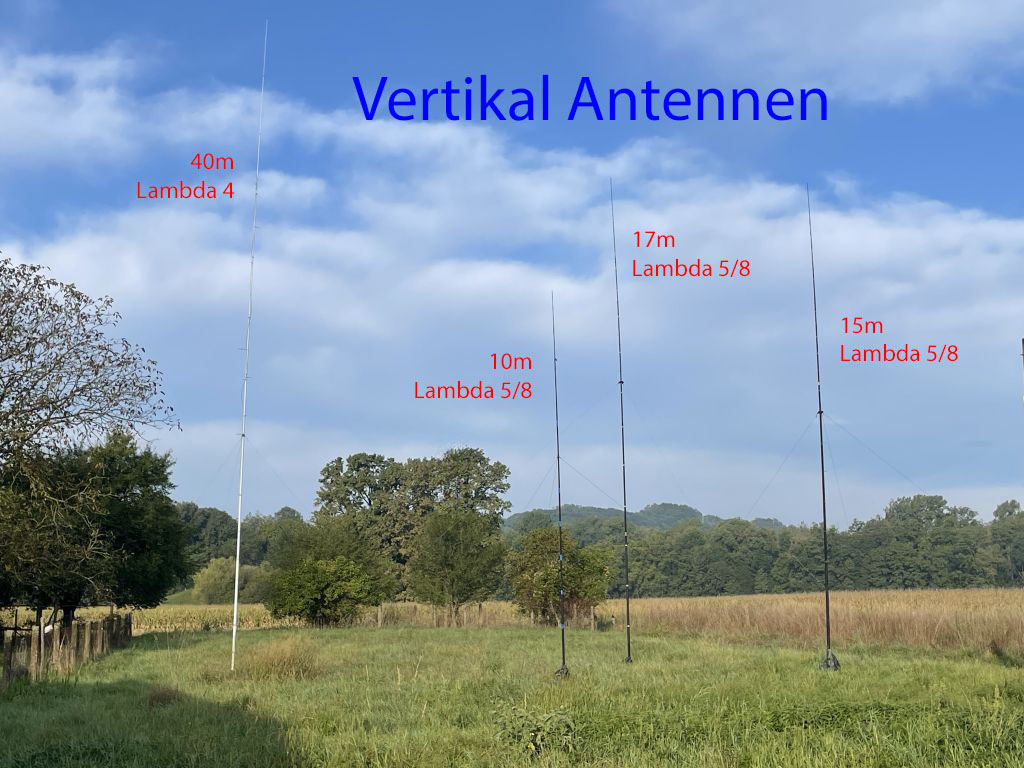 Antennen im Sommer